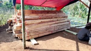 WhatsApp Image 2025-07-25 at 20.18.54