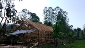 WhatsApp Image 2025-08-10 at 10.30.33 (2)