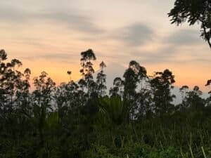 Zonsondergang boven de bomen op Java